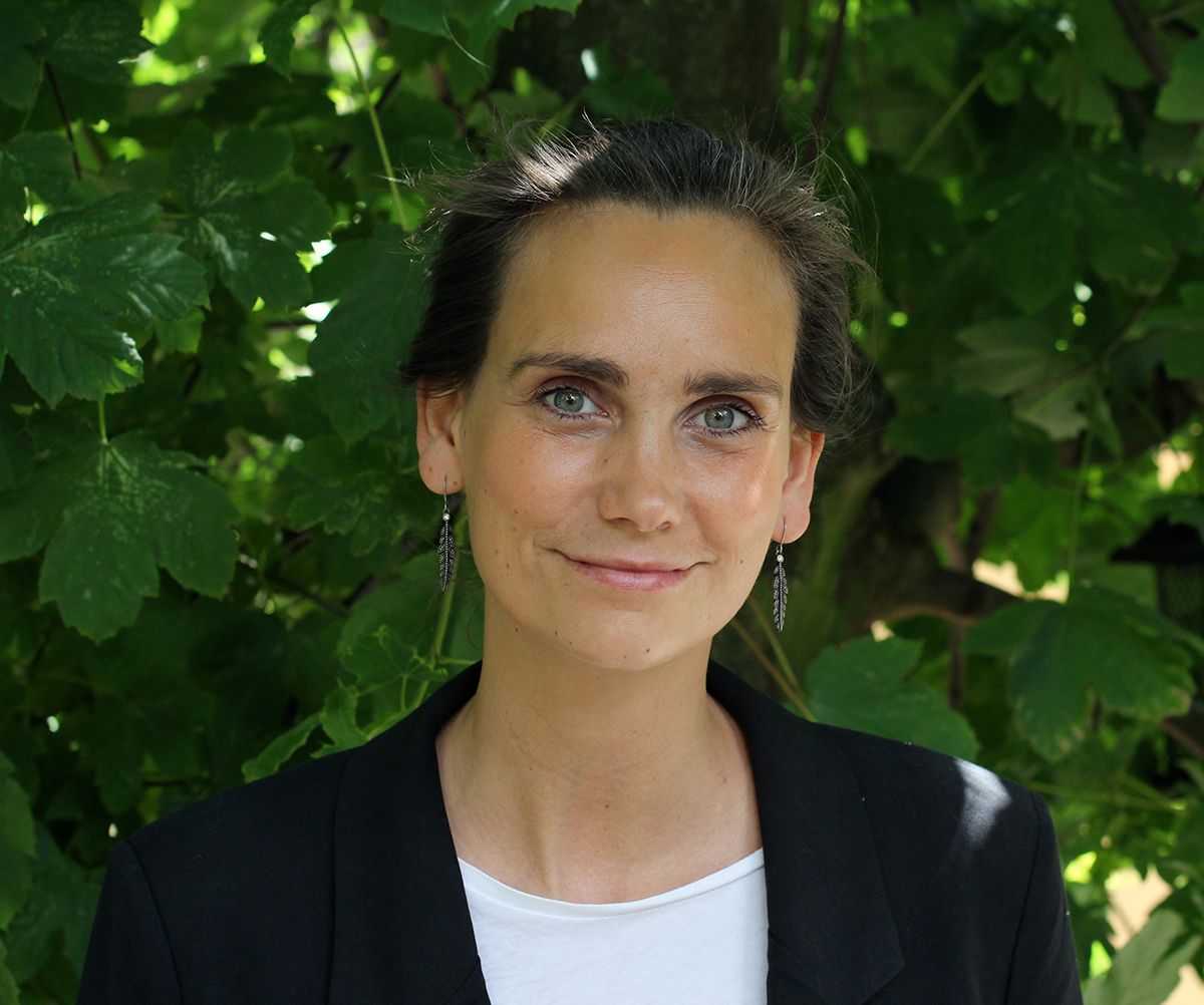 responsivepro featured image